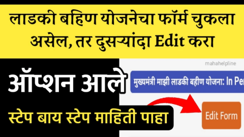 लाडकी बहीण योजनेचा फॉर्म कसा भरायचा | लाडकी बहीण योजनेचा अर्ज कसा करायचा | Nari Shakti dut Application