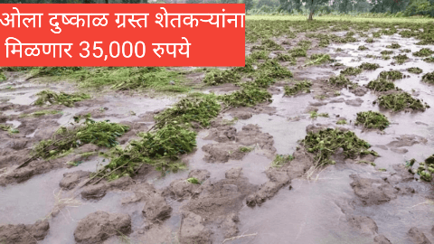ओला दुष्काळ ग्रस्त शेतकऱ्यांना मिळणार 35,000 रुपये मदत, पहा कोणते जिल्हे पात्र