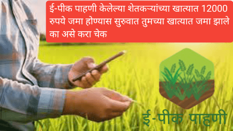 ई-पीक पाहणी केलेल्या शेतकऱ्यांच्या खात्यात 12000 रुपये जमा होण्यास सुरुवात तुमच्या खात्यात जमा झाले का असे करा चेक